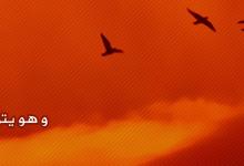 slider-8671-1484481313